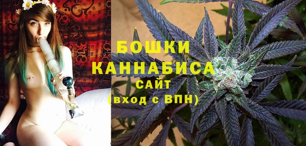 сатива Алзамай