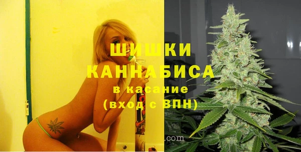 сатива Абдулино