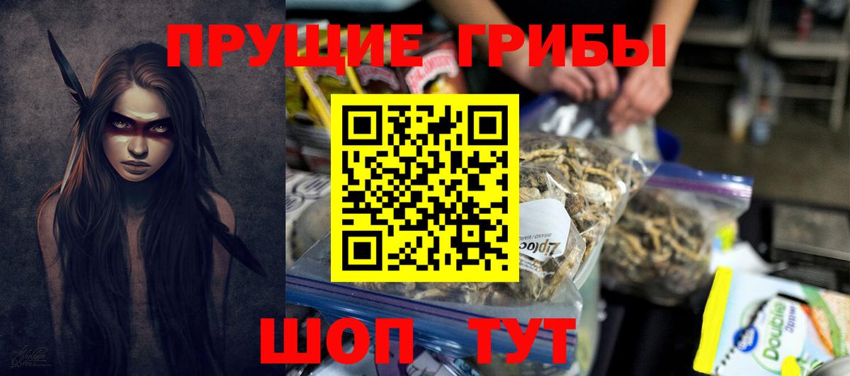 Галлюциногенные грибы Psilocybine cubensis  что такое   Тавда  Вход с VPN 